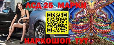 шишки Нарткала