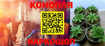 шишки Нарткала