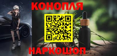 шишки Нарткала